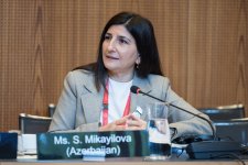 Azerbaijani MP Sevil Mikayilova addresses IPU Bureau and Forum of Women Parliamentarians' meeting in Geneva (PHOTO/VIDEO)