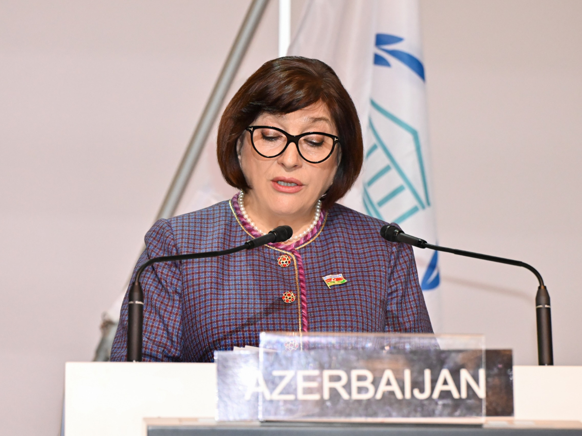 Azerbaijan shows strong political will and humanitarian commitment under President Ilham Aliyev's leadership – speaker