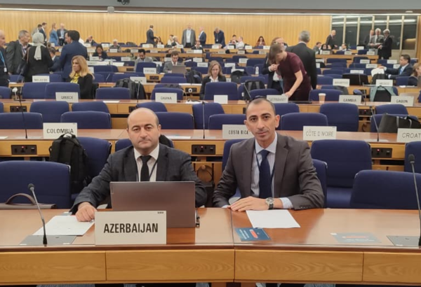 Azerbaijan's State Maritime and Port Agency participates in IMO session (PHOTO)