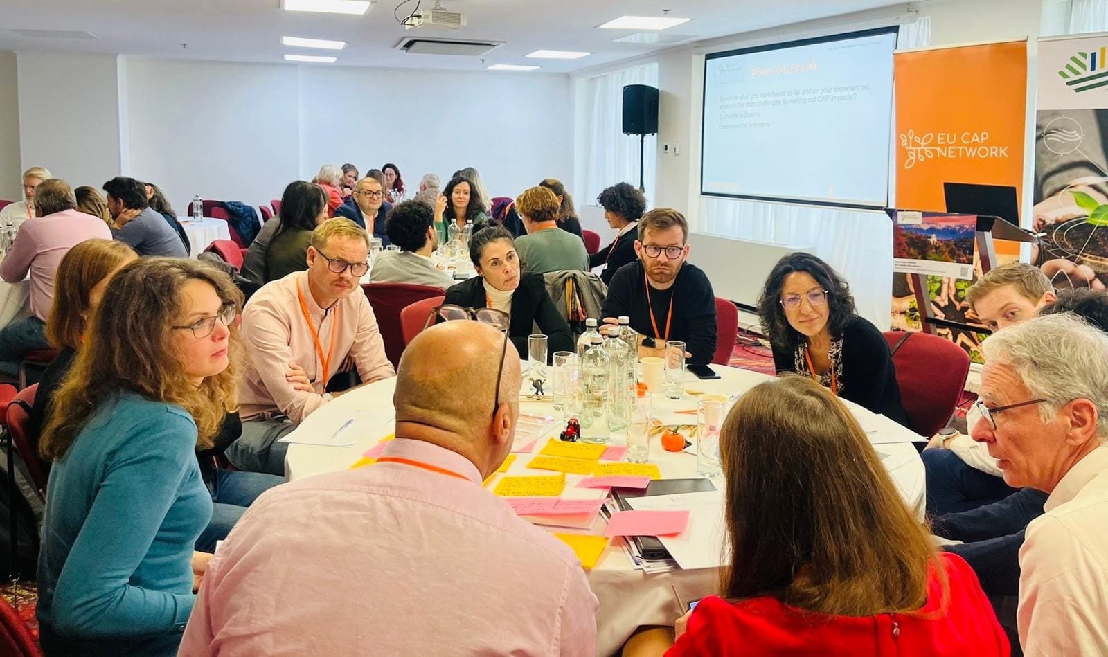 Romania hosts CAP evaluation workshop with EU and national experts (PHOTO)