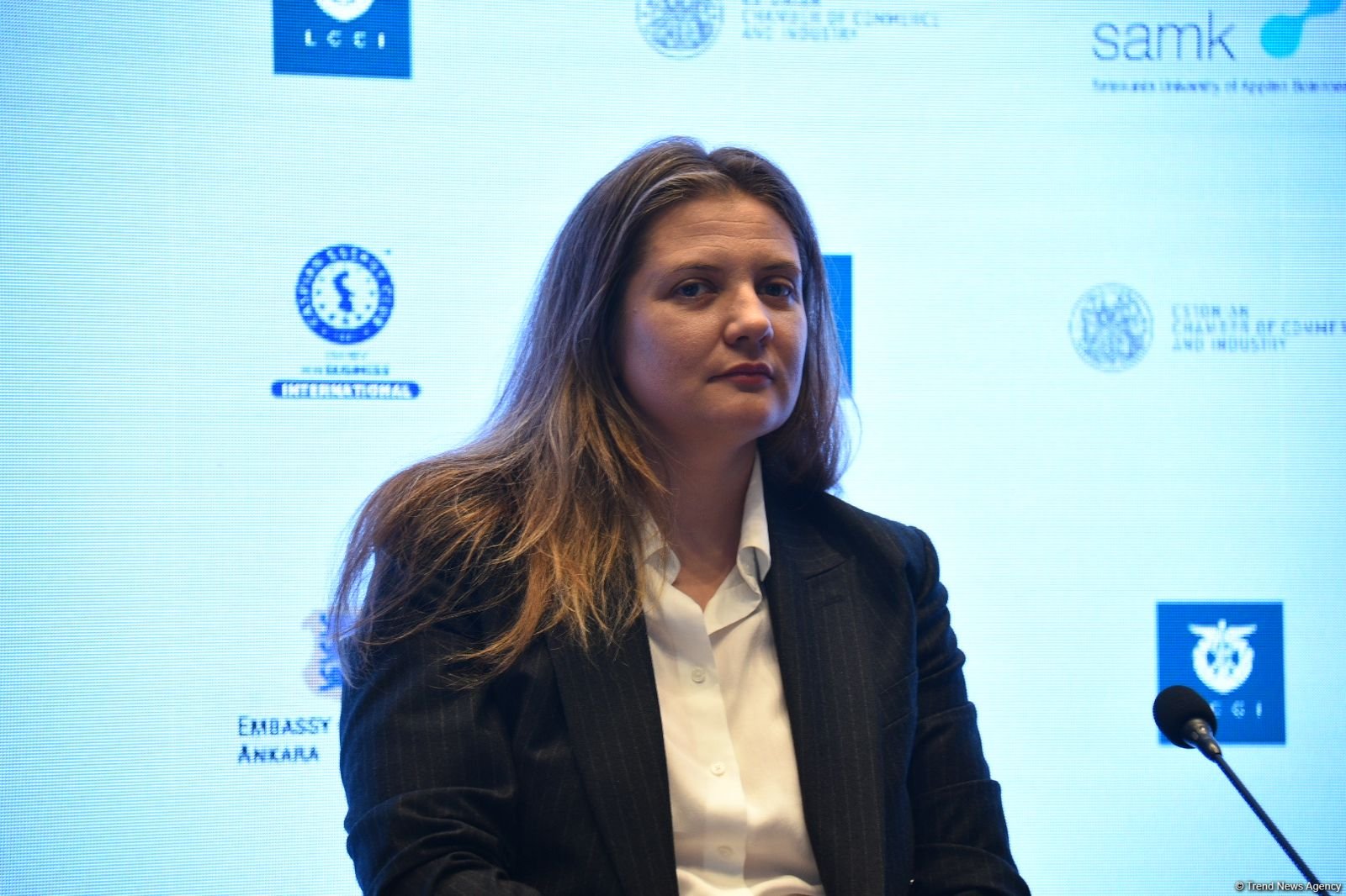 Latvian companies eye ICT and innovation co-op options with Azerbaijan