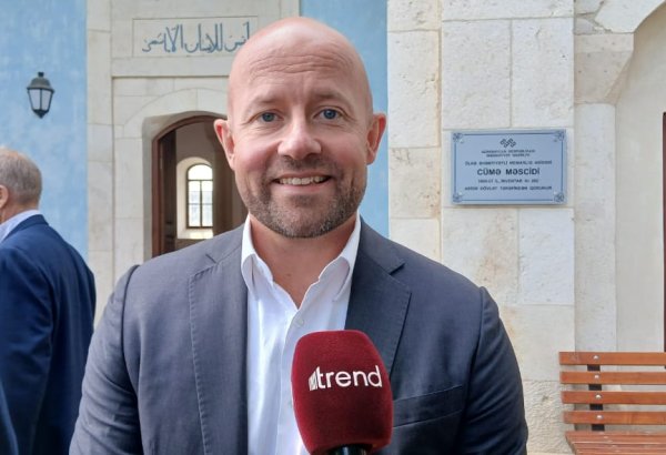 Azerbaijan's recent achievements exemplify power of united efforts - German traveler