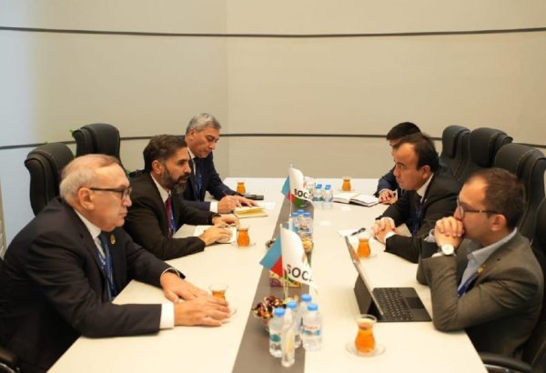 Uzbekneftegaz, SOCAR look to fast-track operations on Ustyurt Plateau