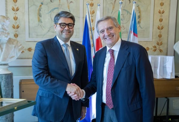 Uzbekistan, Italy discuss collaboration on first nuclear power plant project