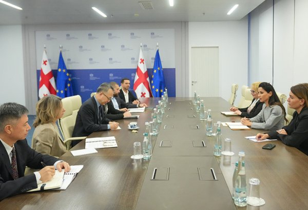 Georgia, ADB talk advancing infrastructure within Middle Corridor