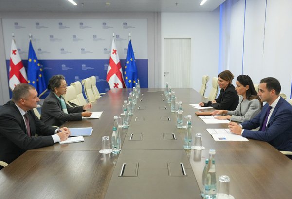 Georgia, UN ESCAP discuss joint efforts on energy efficiency and digital transformation