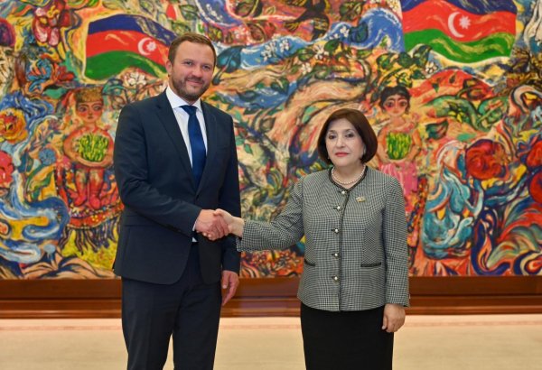 Azerbaijani Parliament speaker meets with Estonian FM (PHOTO)