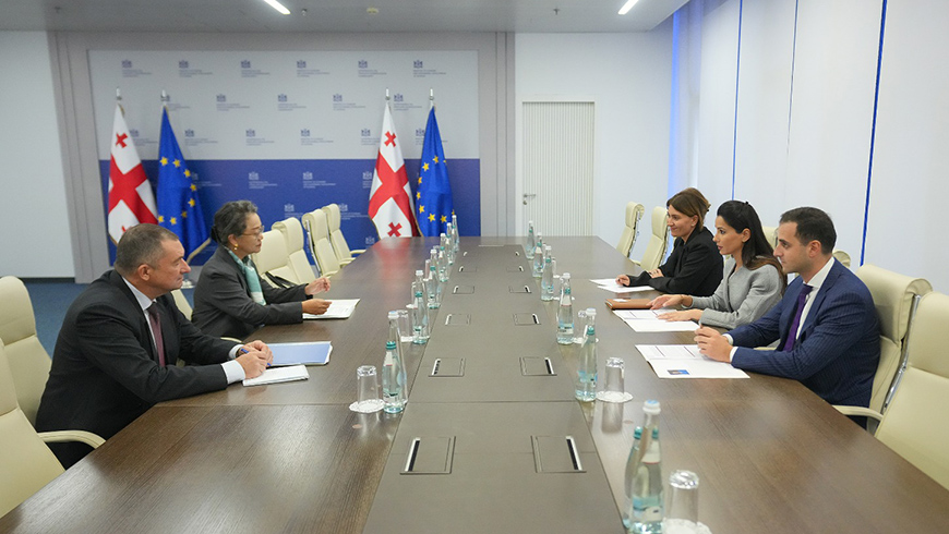 Georgia, UN ESCAP discuss joint efforts on energy efficiency and digital transformation