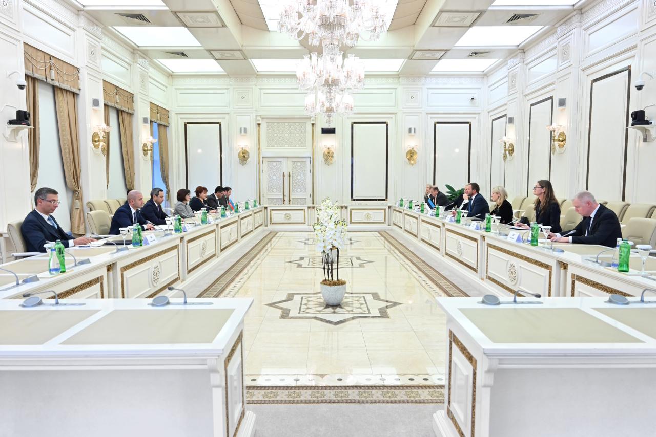 Azerbaijani Parliament speaker meets with Estonian FM (PHOTO)