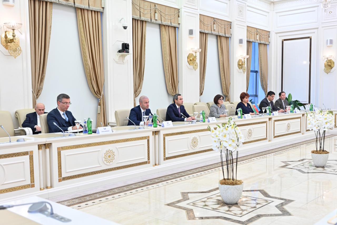 Azerbaijani Parliament speaker meets with Estonian FM (PHOTO)