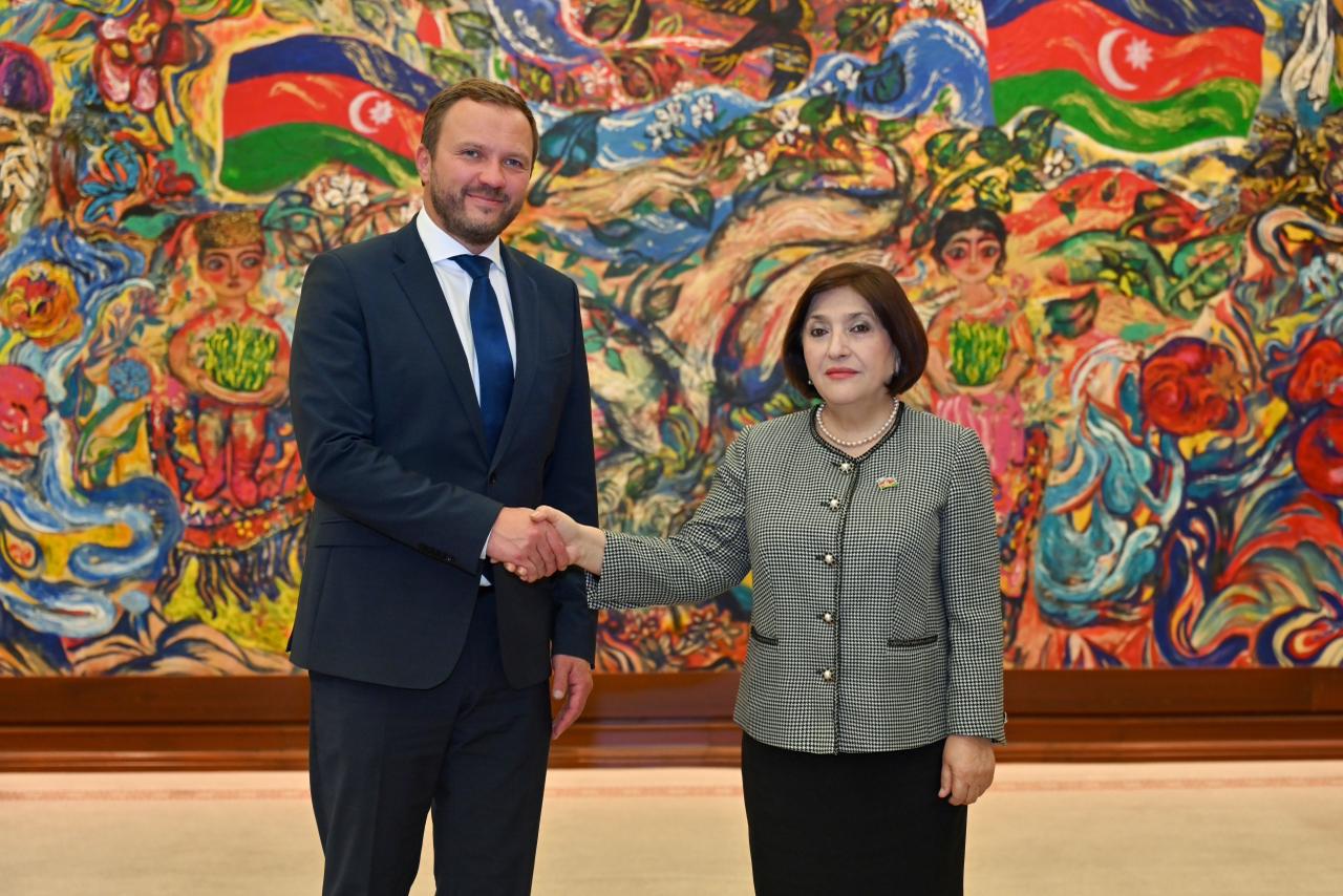 Azerbaijani Parliament speaker meets with Estonian FM (PHOTO)