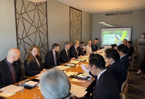 Lithuania and Japan explore partnership in recovery projects