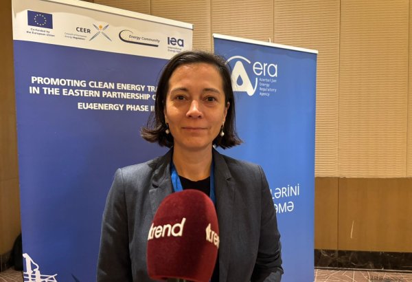 EU exhibits readiness to support Azerbaijan's green transition (Exclusive)