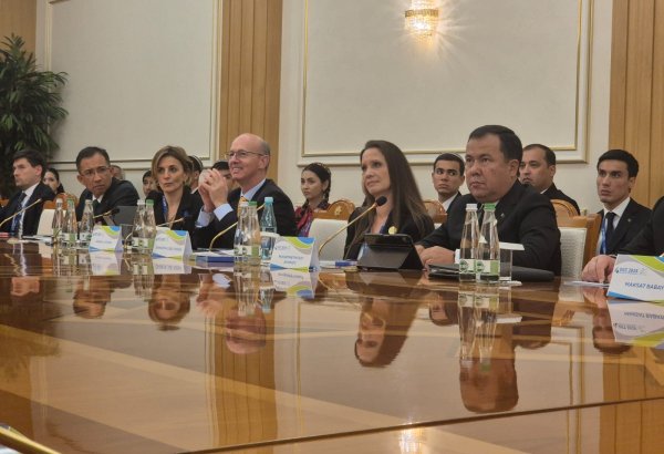 TAPI Pipeline Company Ltd expects to complete Herat gas pipeline section by late 2026