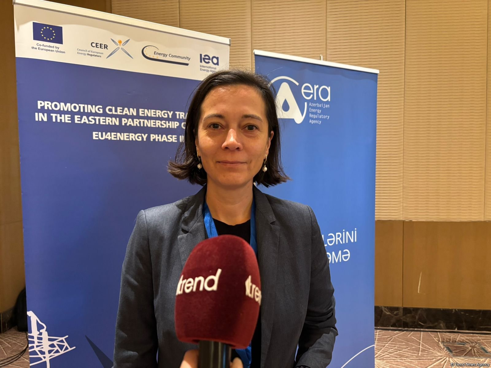 EU exhibits readiness to support Azerbaijan's green transition (Exclusive)
