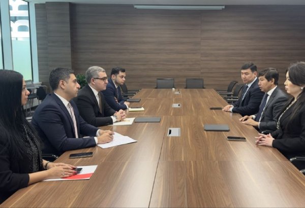 Azerbaijan, Kazakh companies eye co-op prospects along Middle Corridor