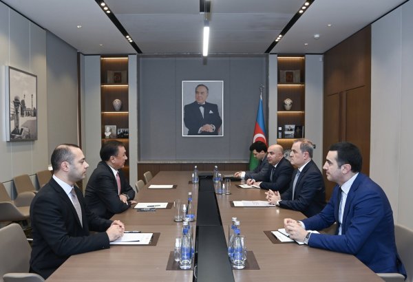 Azerbaijani foreign minister receives OTS secretary general