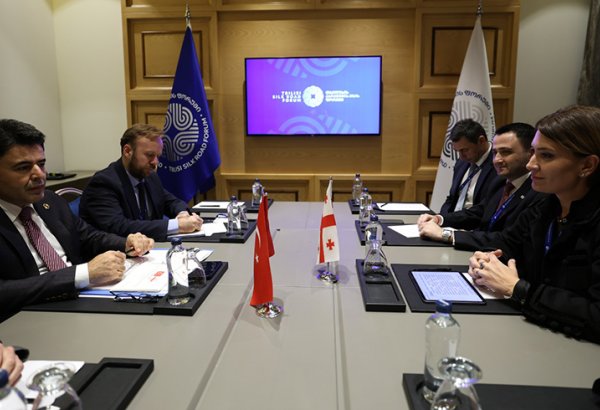 Georgia, Türkiye discuss boosting Middle Corridor trade and logistics