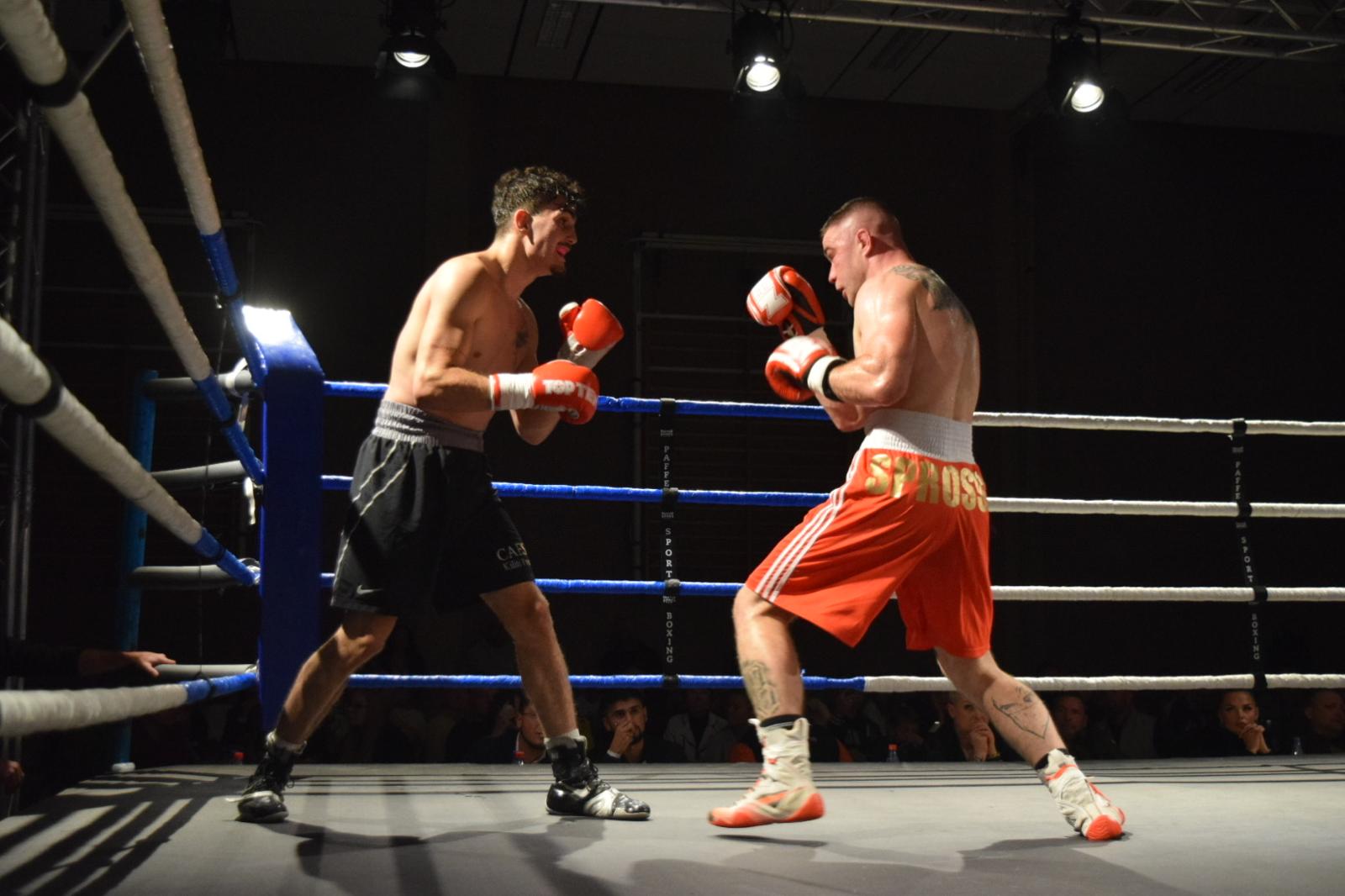 Germany hosts int'l boxing competition for WBCA title (PHOTO)