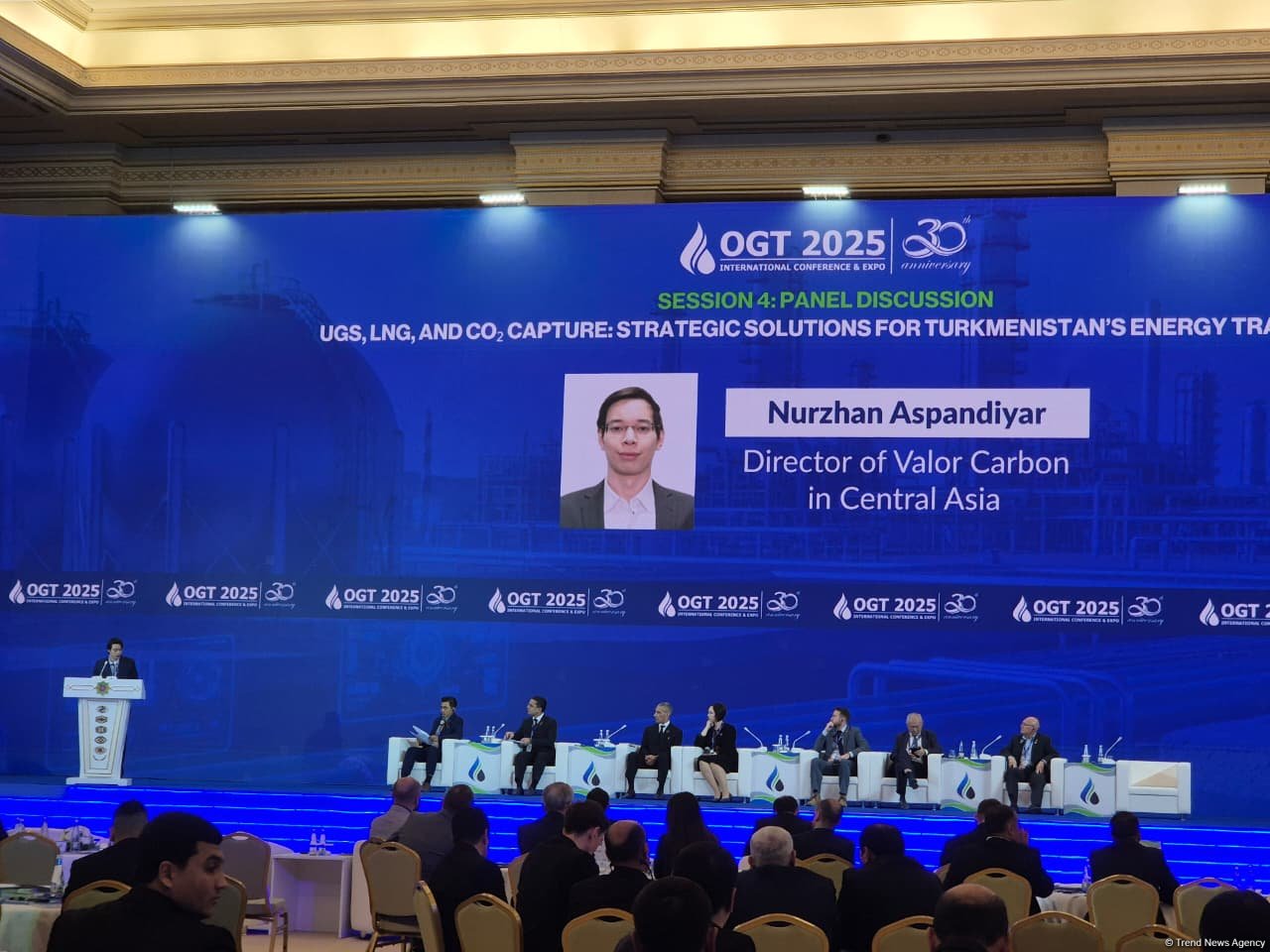 Central Asia’s carbon market potential shines, Valor Carbon's director says