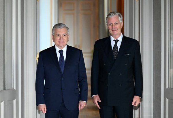 Uzbekistan, Belgium discuss expanding trade and investment ties