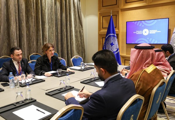 Georgia, Saudi Arabia discuss strengthening air and maritime links
