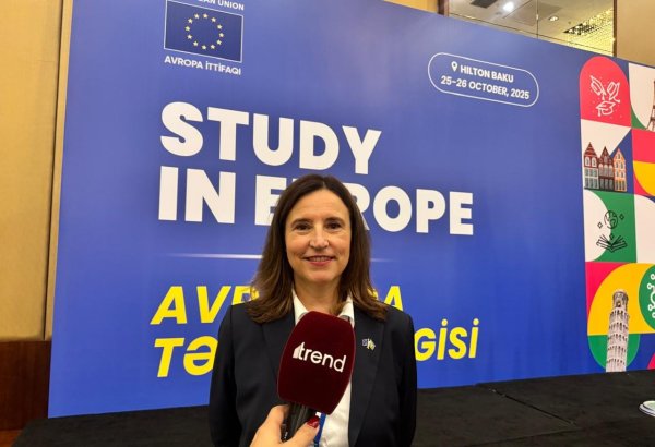 EU and Azerbaijan target constructive dialogue and strengthening partnership - ambassador