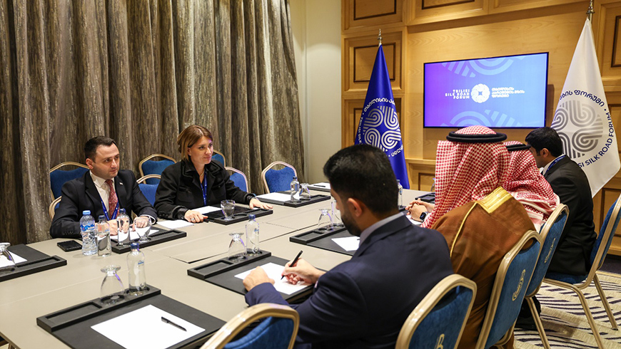 Georgia, Saudi Arabia discuss strengthening air and maritime links