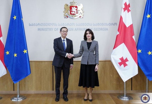 Georgia, China strengthen strategic partnership, discuss Middle Corridor