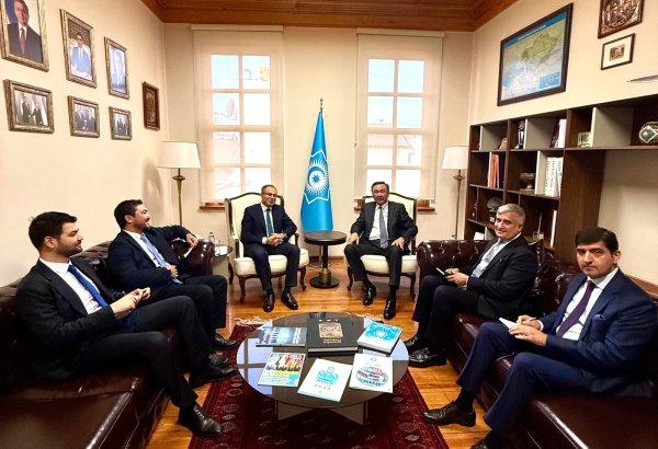 TURKPA, Organization of Turkic States discuss future initiatives