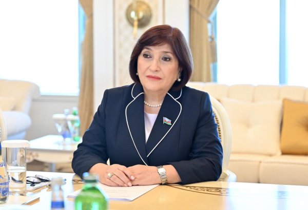 Speaker of Azerbaijani Parliament hosts latest constituents’ reception