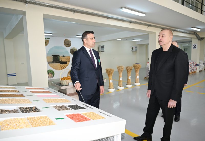 President Ilham Aliyev visits seed processing facility in Sabirabad Industrial District (PHOTO)