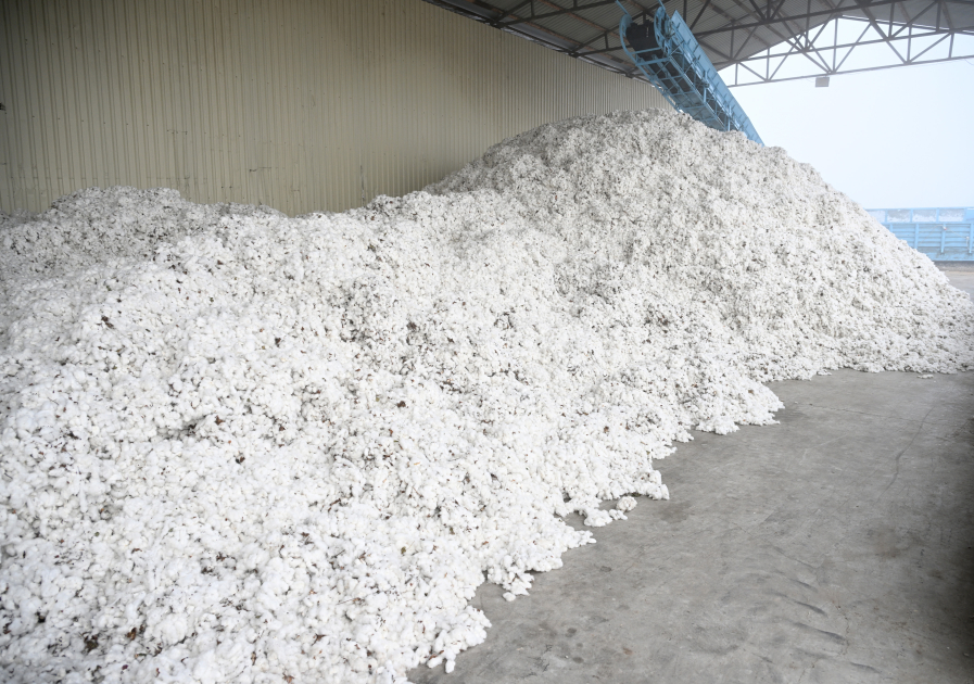 President Ilham Aliyev visits cotton processing plant in Sabirabad (PHOTO/VIDEO)