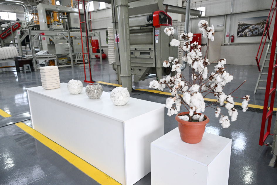 President Ilham Aliyev visits cotton processing plant in Sabirabad (PHOTO/VIDEO)