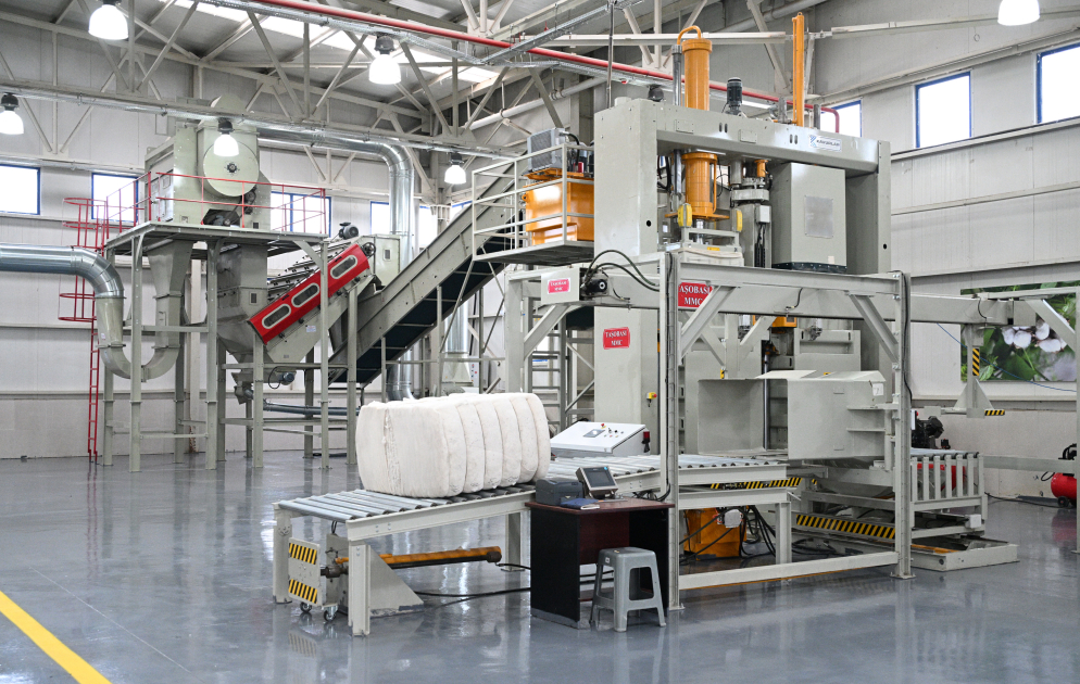 President Ilham Aliyev visits cotton processing plant in Sabirabad (PHOTO/VIDEO)