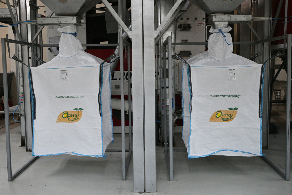 President Ilham Aliyev visits seed processing facility in Sabirabad Industrial District (PHOTO/VIDEO)