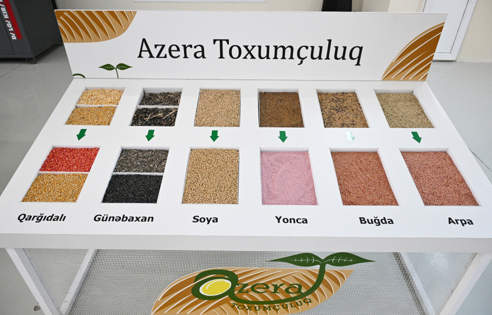 President Ilham Aliyev visits seed processing facility in Sabirabad Industrial District (PHOTO/VIDEO)