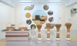 President Ilham Aliyev visits seed processing facility in Sabirabad Industrial District (PHOTO/VIDEO)