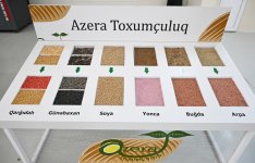 President Ilham Aliyev visits seed processing facility in Sabirabad Industrial District (PHOTO/VIDEO)