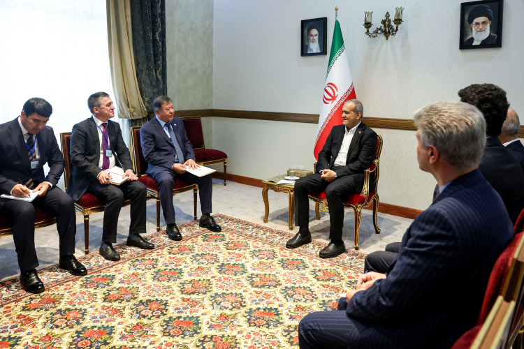 Iranian president advocates for common currency to boost regional dev't