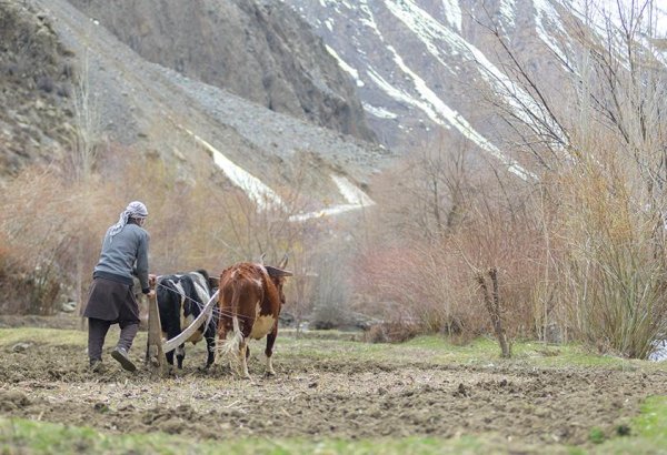 GCF allots funds for ADB's Glacial Melt Adaptation Program in Central Asia, S. Caucasus, Pakistan