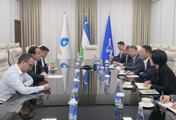 Uzbekistan, CNPC deepen co-op to boost hydrocarbon sector performance