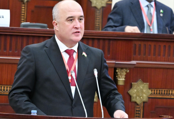 Azerbaijani constitution promotes stability and sustainable development - Tajik speaker