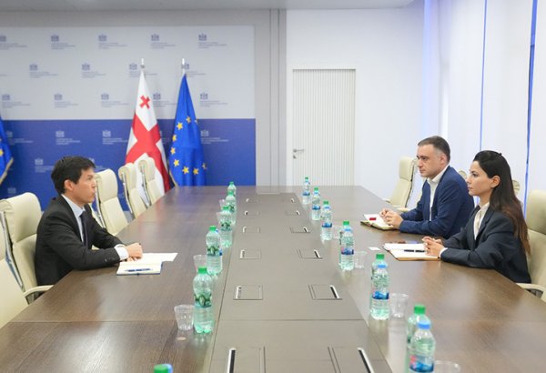 Georgia, IMF discuss reforms and growth prospects