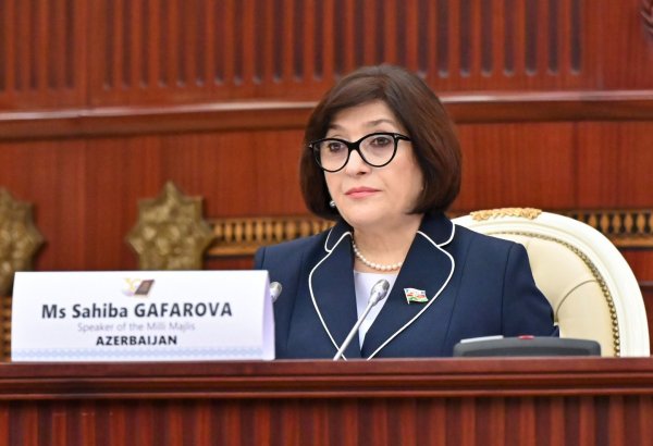 Speaker calls for legislative support to boost Azerbaijan's national power
