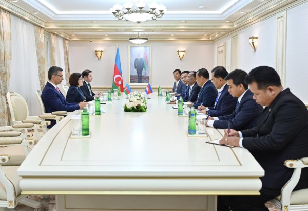 Azerbaijani Parliament Speaker meets with Cambodia's Second Parliamentary VP