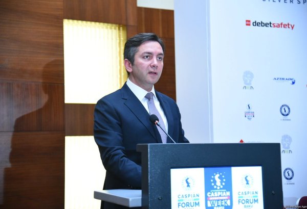 Azerbaijan on path to regional green energy hub through Karabakh, Eastern Zangezur projects - official