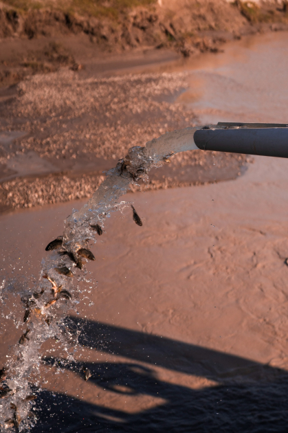 Leyla Aliyeva and Arzu Aliyeva attend inauguration of Akhar-Bakhar National Park in Gakh district (PHOTO)