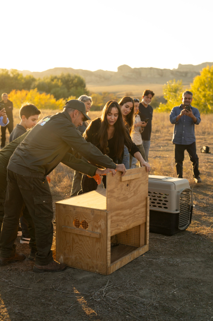 Leyla Aliyeva and Arzu Aliyeva attend inauguration of Akhar-Bakhar National Park in Gakh district (PHOTO)