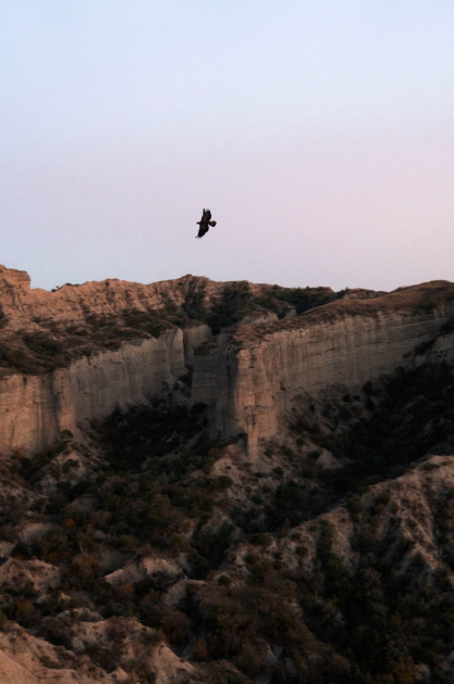 Leyla Aliyeva and Arzu Aliyeva attend inauguration of Akhar-Bakhar National Park in Gakh district (PHOTO)
